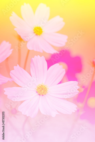 flower background. © artpritsadee