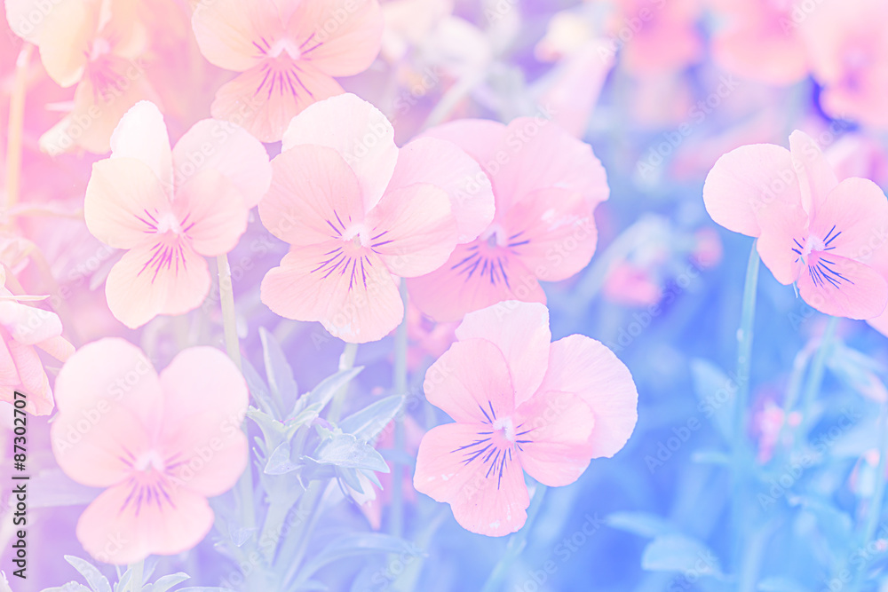 flower background.