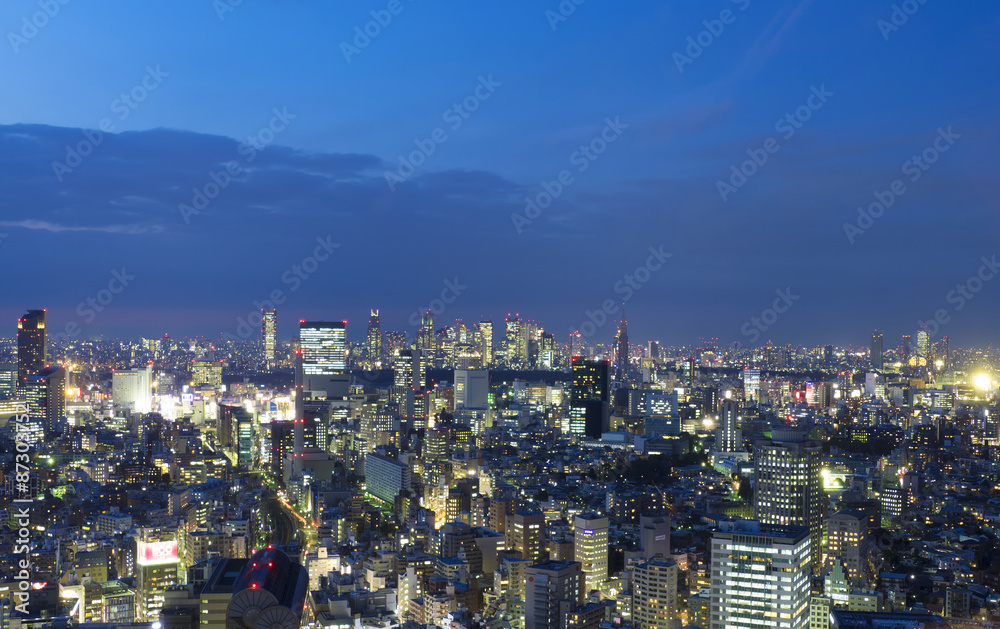 東京都市風景　渋谷と新宿高層ビル群　青山　を望む　夜景　俯瞰