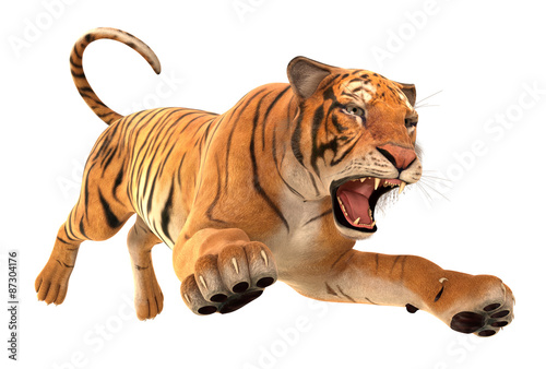 Fototapeta Naklejka Na Ścianę i Meble -  Tiger Running