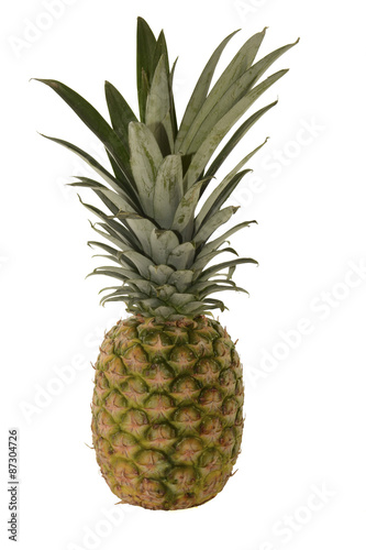 Pineapple with White Background