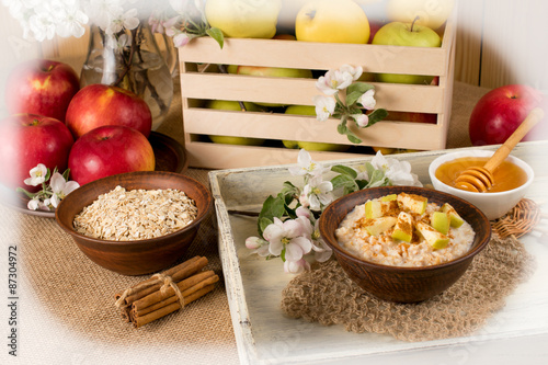 Oatmeal with apple and cinnamon in the bowl  honey and cinnamon