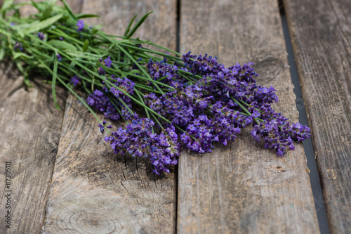 Fototapeta Naklejka Na Ścianę i Meble -  Lavendel