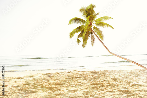Fototapeta Naklejka Na Ścianę i Meble -  Summer Tropical Island Beach Concept