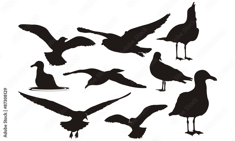 Naklejka premium Seagull silhouette set isolated on white background vector