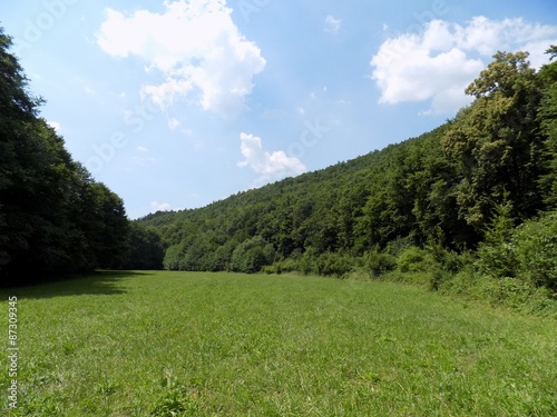 Meadow, forest and sky