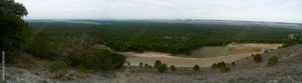 Panorámica de un bosque en Valladolid, España