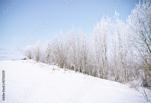 Winter landscape. frozen trees.