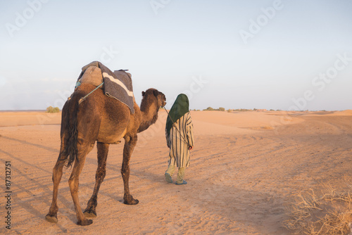 The arabian guide lead camel in Sahara desert