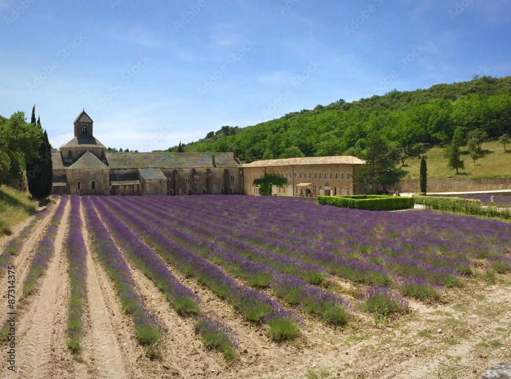L'Abbaye de Sénanque et sa lavande StockFoto Adobe Stock