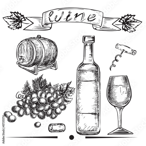 wine hand drawn set
