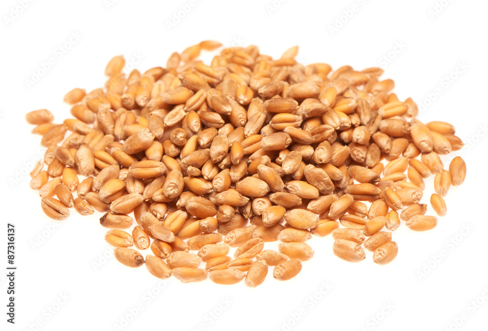 Pile of barley isolated on the white background Pile of barley isolated on the white background