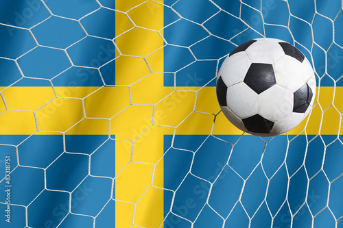 Sweden soccer ball © FAMILY STOCK