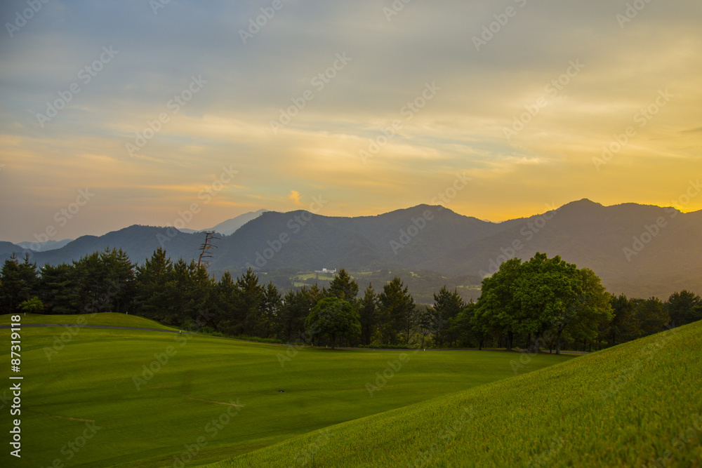 Fototapeta premium golf