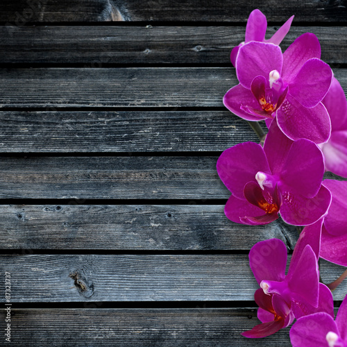 Close-up of pink orchid phalaenopsis. Bouquet of flowers orchids on wooden background