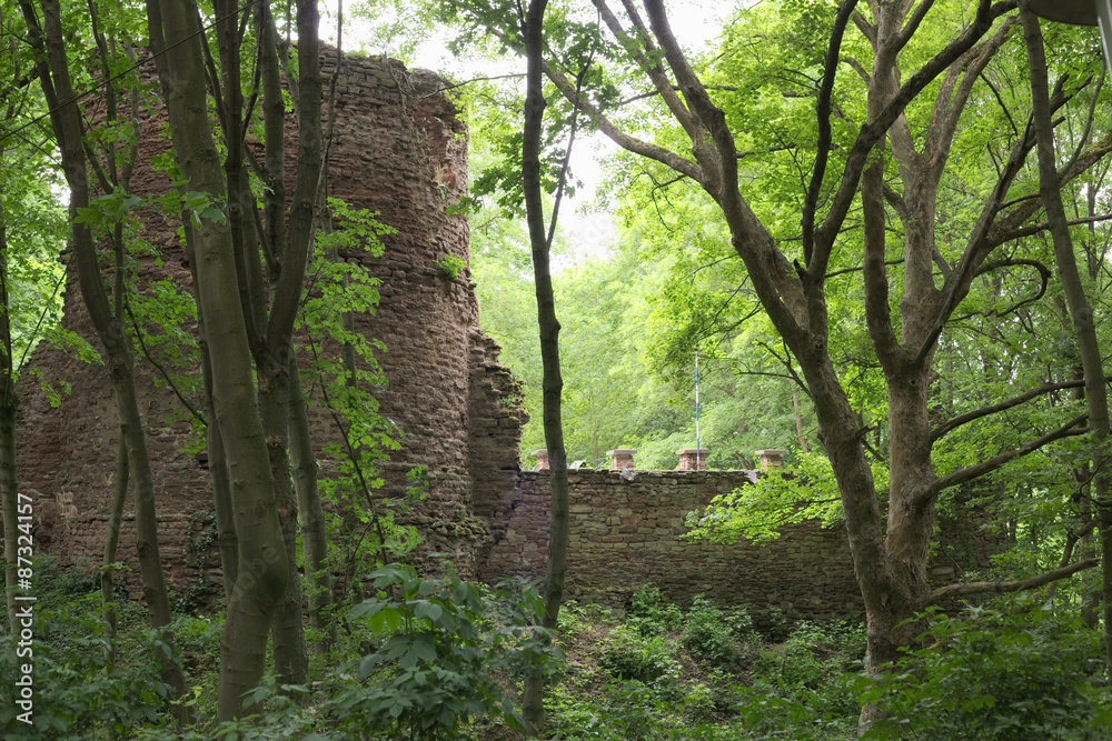 Castle ruin Schweinsburg in Bornstedt, Saxony-Anhalt, Germany