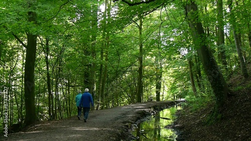 Skipton, North Yorkshire, United Kingdom. People enjoy walk through Skipton Castle Woods.