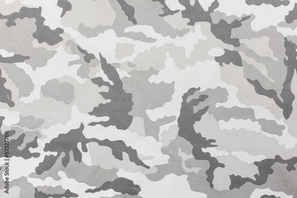 Camouflage pattern and background. Camouflage pattern and background.