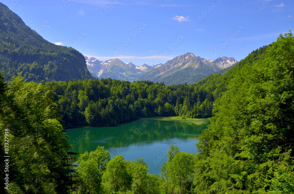 Bergsee im Wald in den Alpen