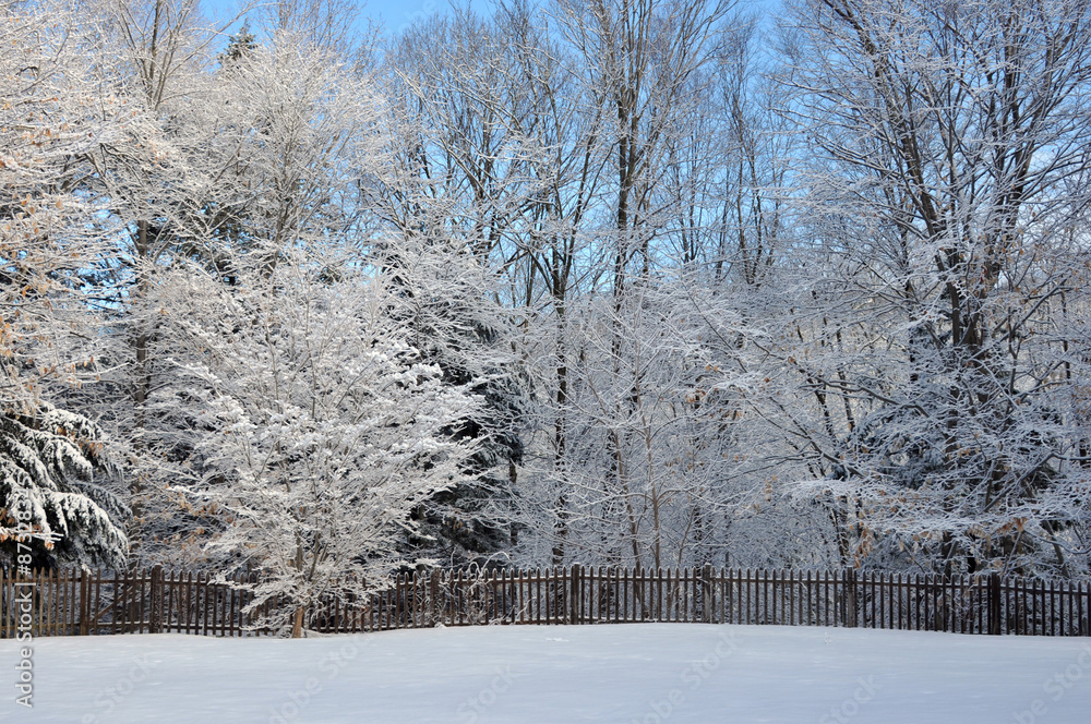 Naklejka premium Frozen Back Forty