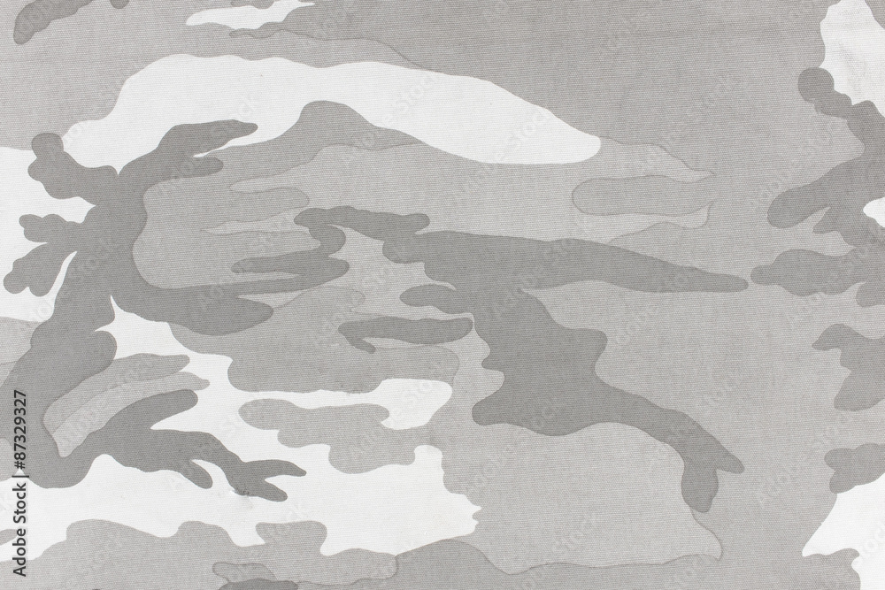 Camouflage pattern and background. Camouflage pattern and background.