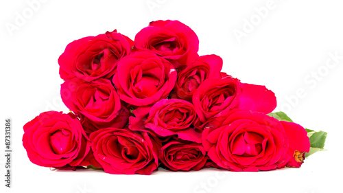 red rose isolated on white background