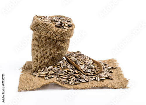 Obraz na plátně Sunflower seeds