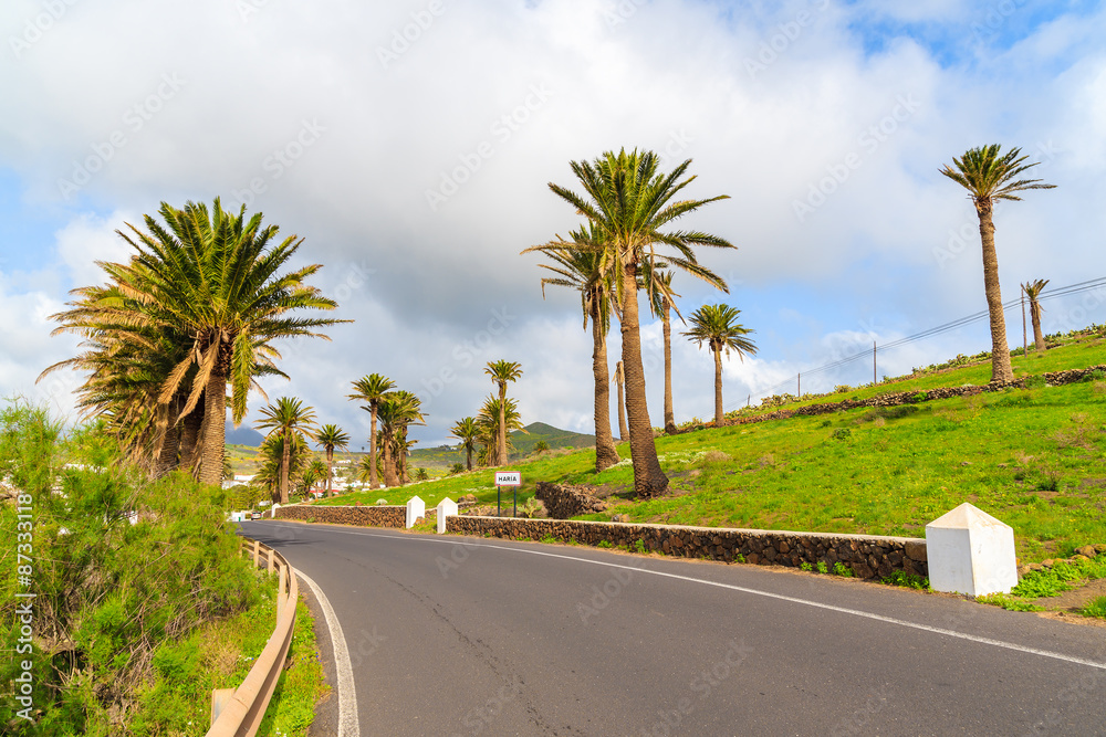 Road lined with palm trees to Haria mountain village, Lanzarote, Canary Islands, Spain 