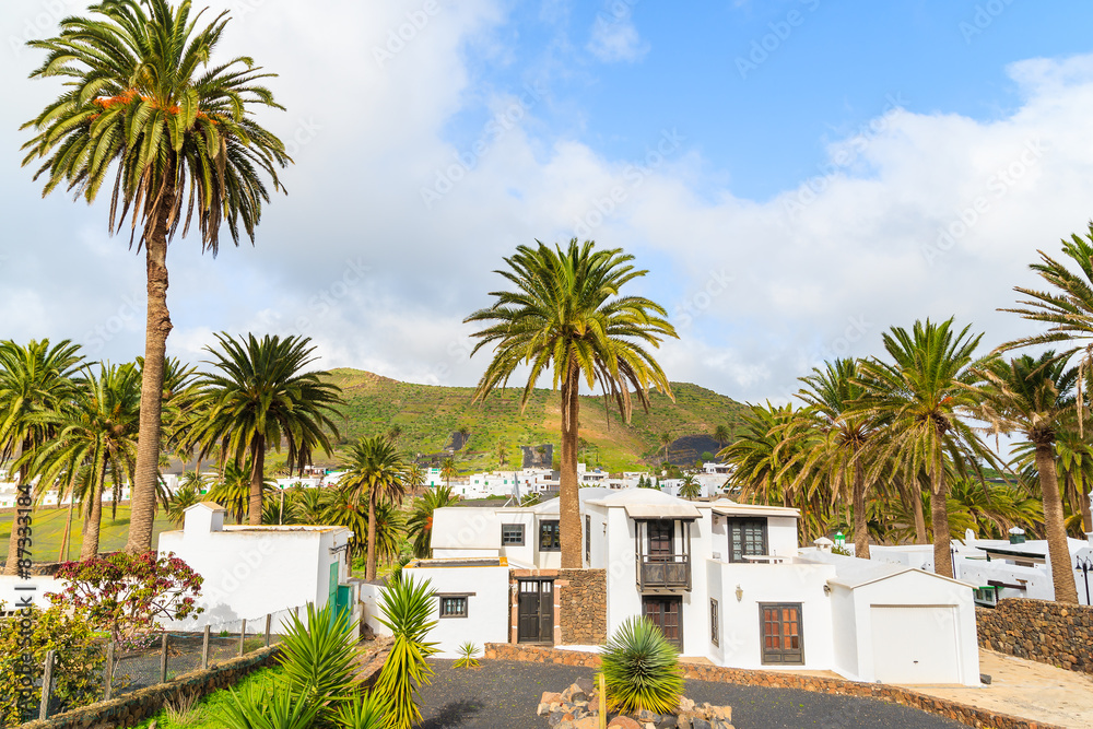 Fototapeta premium Canary style houses in palm tree landscape of Haria village, Lanzarote island, Spain