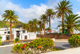 Canary style houses in palm tree landscape of Haria village, Lanzarote island, Spain