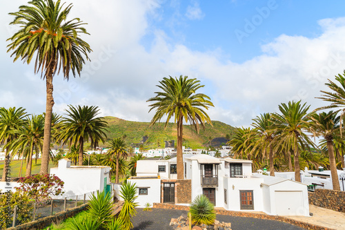 Canary style houses in palm tree landscape of Haria village, Lanzarote island, Spain photo