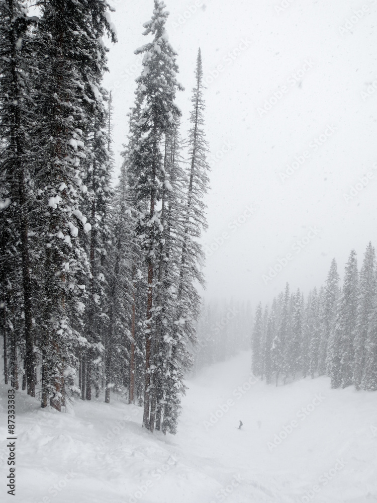 Powder day at Purgatory ski area in Durango, Colorado Powder day at Purgatory ski area in Durango, Colorado