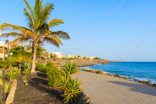 Fototapeta Naklejka Na Ścianę i Meble -  Palm trees and hotel buildings along coastal promenade in Playa Blanca village, Lanzarote, Canary Islands, Spain