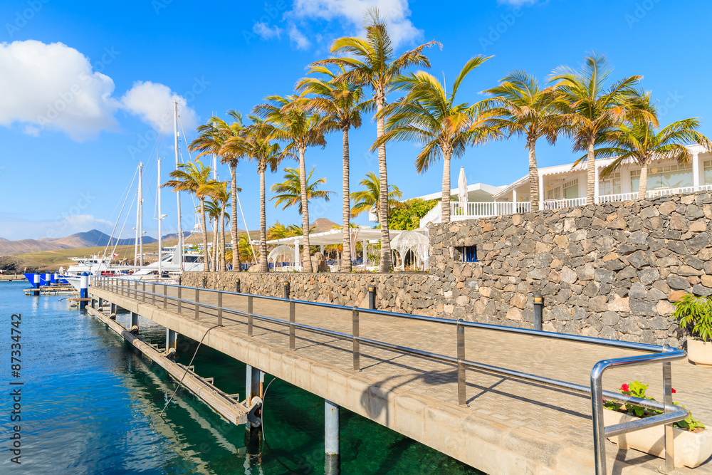 Palm trees in Caribbean style port for yacht boats, Puerto Calero, Lanzarote island, Spain