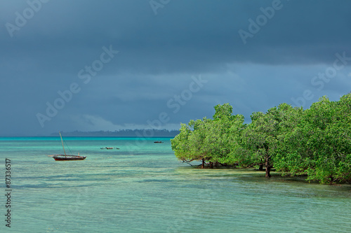 Seascape with mangrove trees and dhows on the tropical coast of Zanzibar island