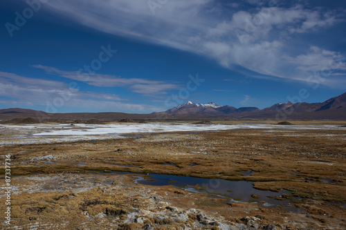 Wetland area, also known as a bofedal in Spanish, on the Altiplano of northern Chile in Lauca National Park at the base of the In the background is the dormant Taapaca volcano (5860 m)