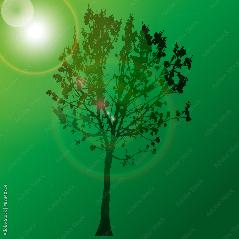 Obraz premium Tree with sun