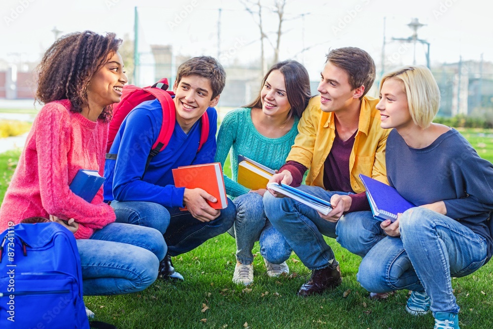 Obraz premium Friendship, Group Of People, Multi-Ethnic Group.