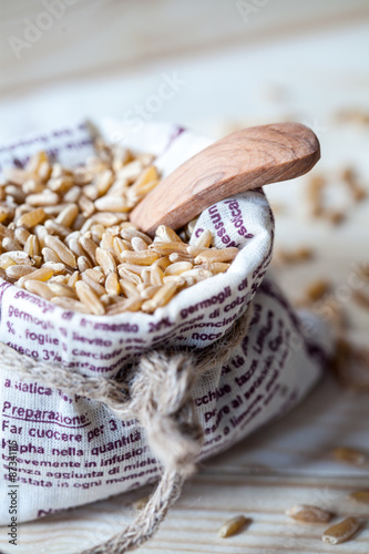 grano khorasan in un sacchetto di tela con cucchiaino in legno photo