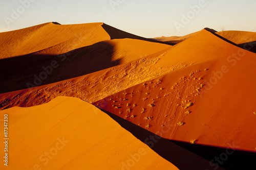 朝のナミブ砂漠