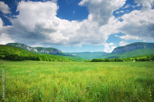 Green meadow in mountain. © GIS
