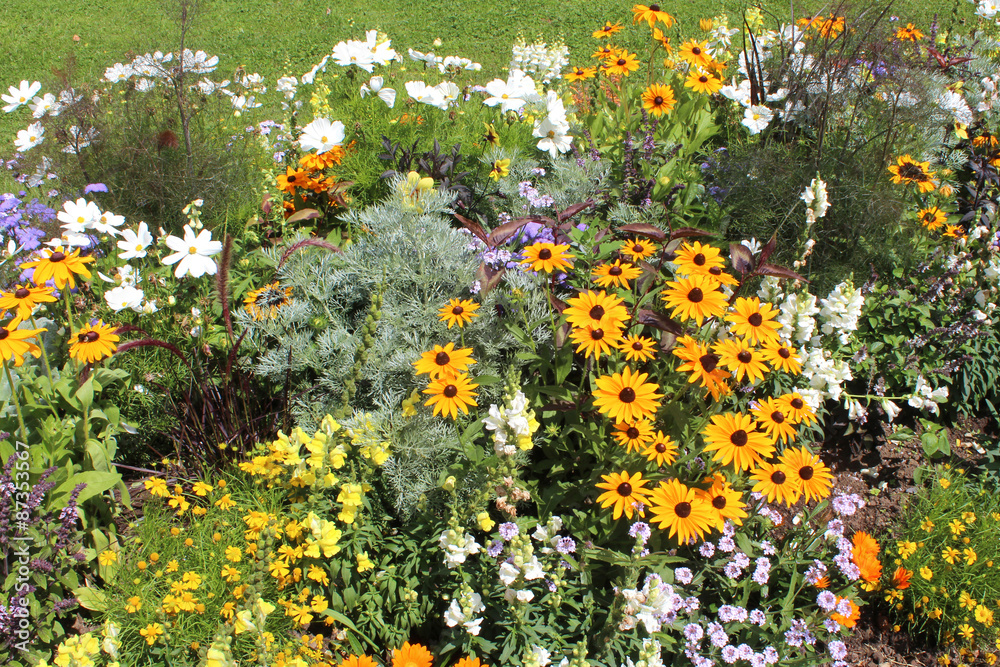 Obraz premium Plate-bande de fleurs variées 