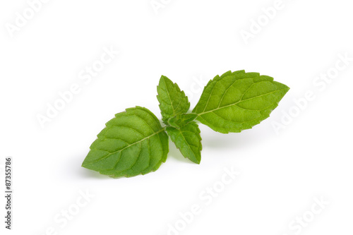 Mint leaves