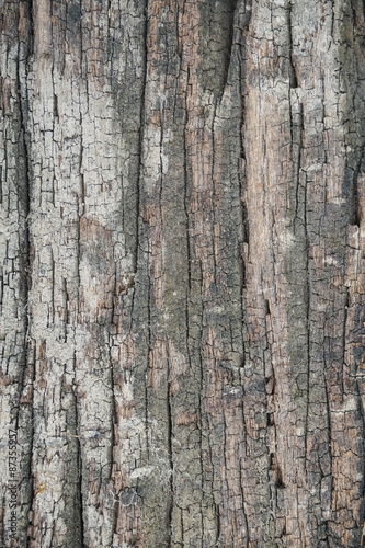 Fototapeta Naklejka Na Ścianę i Meble -  Wood Texture background.