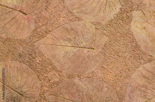 marks of leaf on the concrete pavement