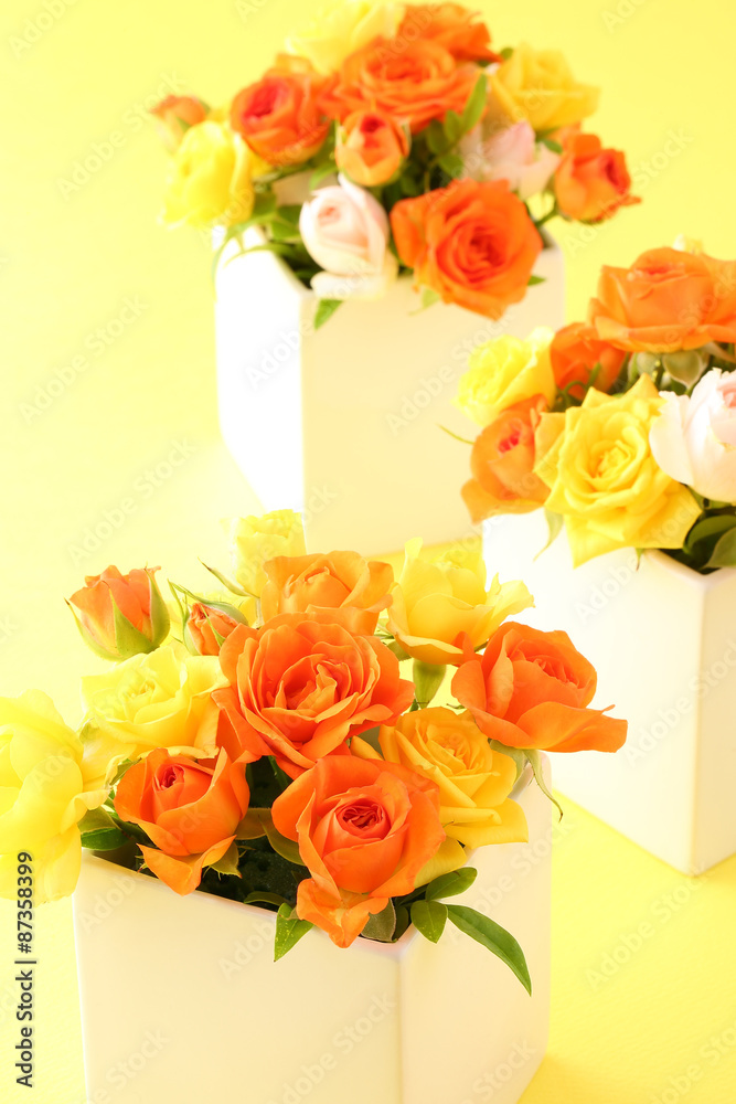 Obraz premium 花の贈り物