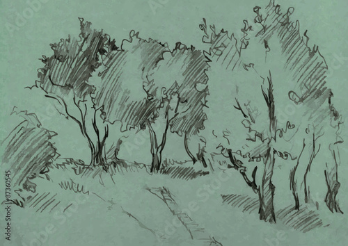 grove of deciduous trees