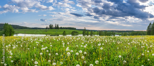 Green meadow in sunny summer day with blue sky and some clouds. Panorama of Finnsih traditional countryside. photo