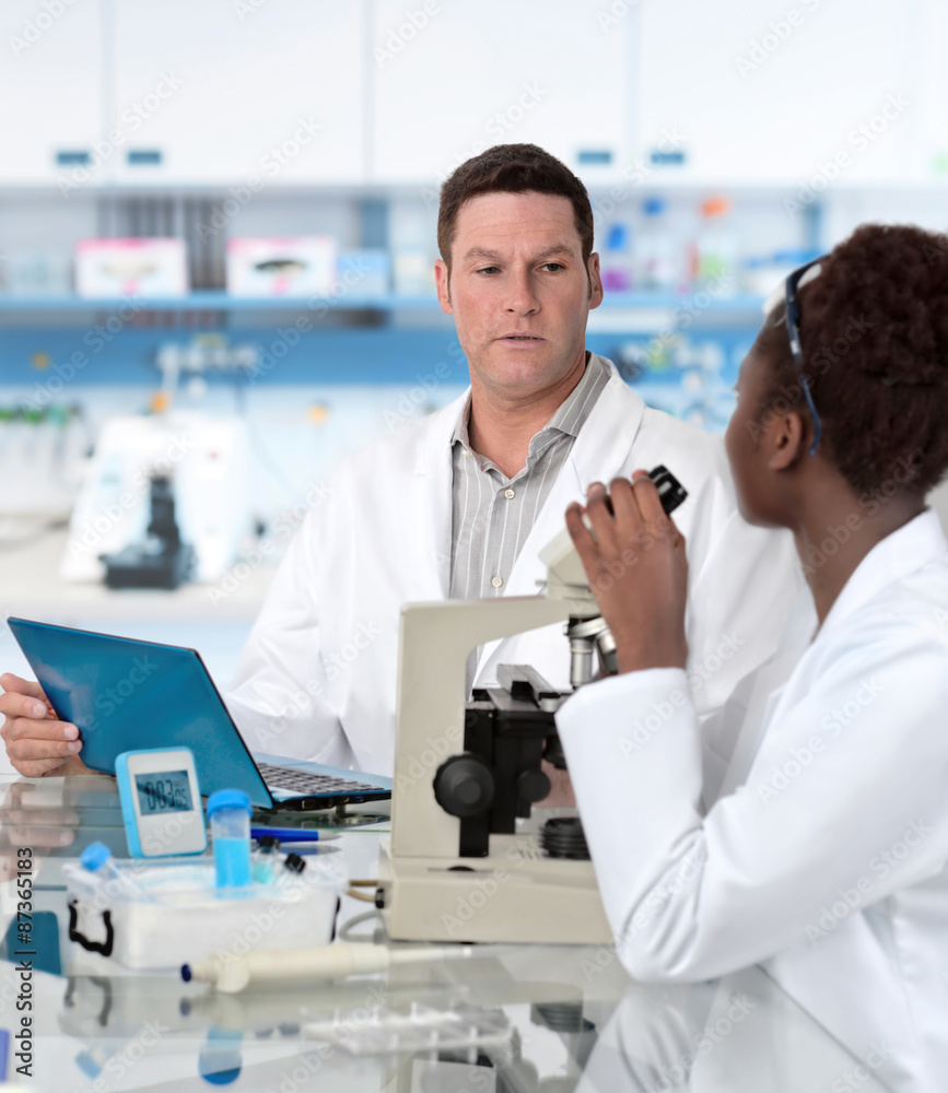 Scientists work in histological lab Scientists work in histological lab