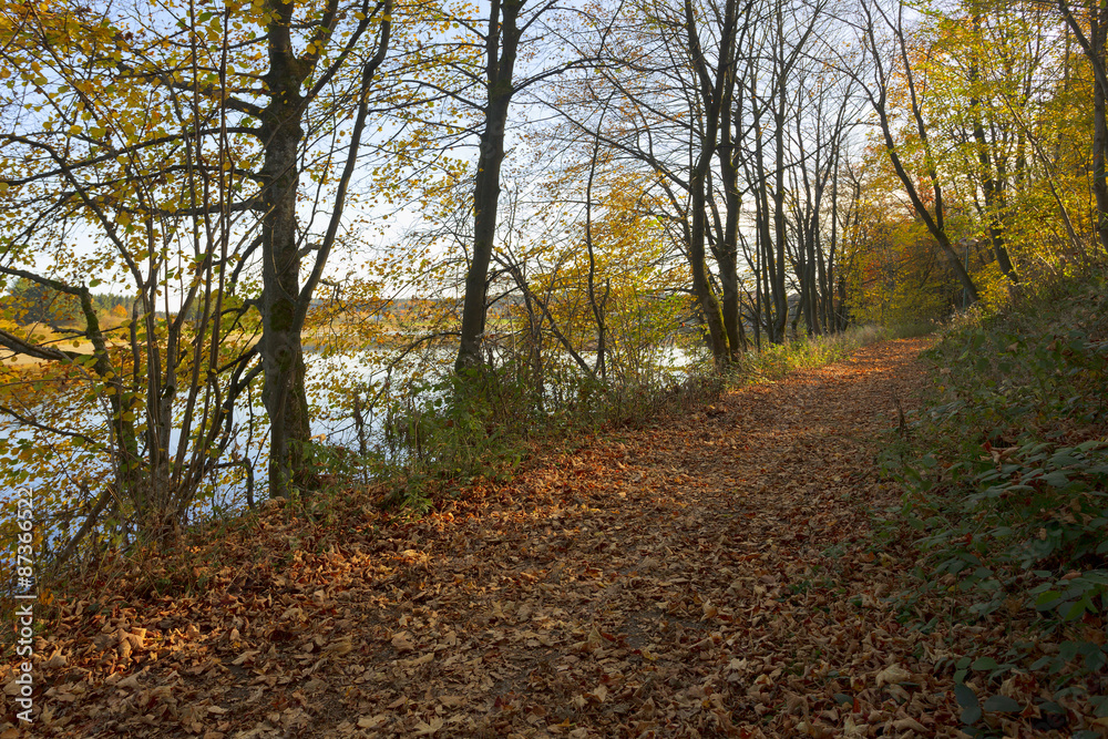 Obraz premium Footpath